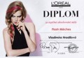 Diplom 1 - Flash Mèches