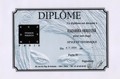 Diplom 9 - Style et Technique